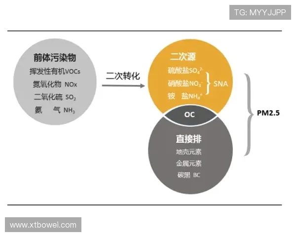 深圳羽毛球队战术解析:从技术细节到比赛策略的全面探讨 深圳羽毛球队战术解析:从技术细节到比赛策略的全面探讨