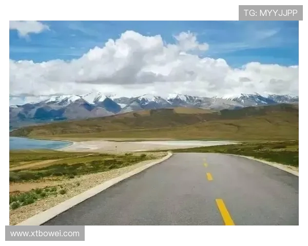 张芳的攀岩人生：在高峰与深渊之间的深度对话与心灵探索